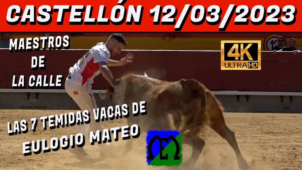 🔝🔝💯12-03-2023 MAESTROS DE LA CALLE