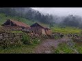 Beautiful nepali mountain village life  naturally most richest village people  villagelifenepal