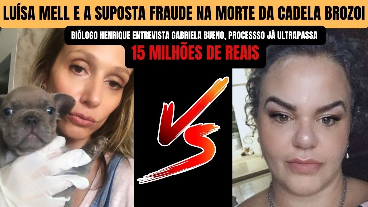 Luísa Mell e a suposta morte da cadela Borzoi. Mais de 15 milhões de reais de processo