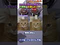 iPhone 14 Pro MAX 正直レビュー 2週間使って感じたメリット #Shorts