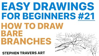 Drawing Branches That Look Real