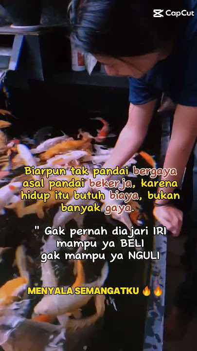 #shortvideo #motivasidiri #motivasihidup #storywa #ikanhias