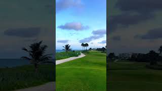 Best Golf spot in PB! #par3 #shorts #camiepoulsen #Shorts #camiepoulsen