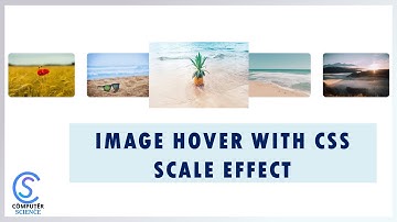 CSS Image Hover Effect with Scale Effect | HTML CSS | Computer Science