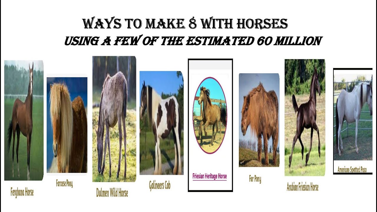 fun-with-numbers-by-adding-ways-to-make-8-with-horses-1-youtube