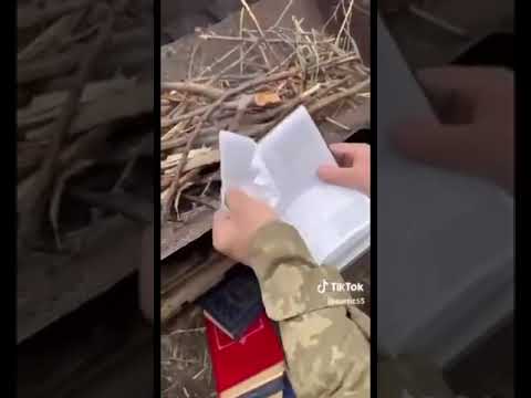 ۲۹ ژوئیه ۲۰۲۳