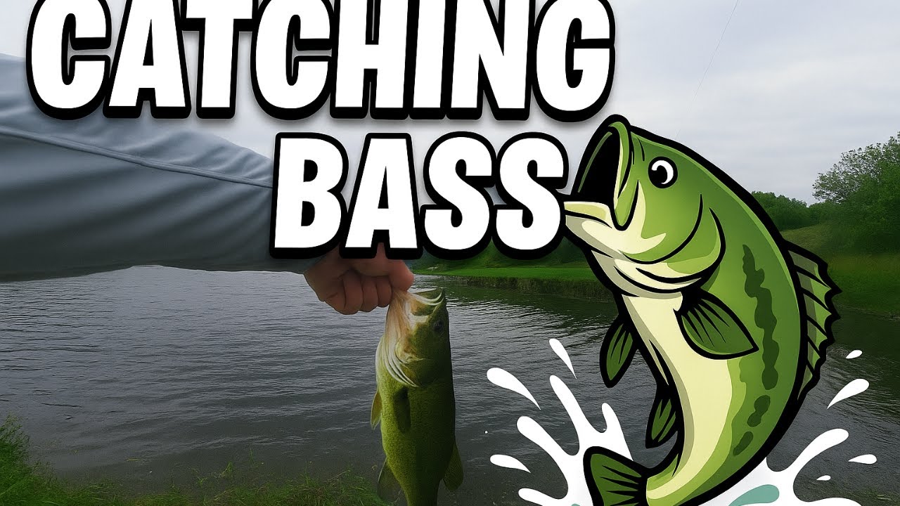 Pond and River Bass Fishing with a Mystery Tackle Box Opening (Reserve)