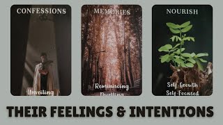 How Do They Secretly Feel About You? Their True Intentions 💕 Pick a Card