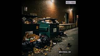 Overflowing Trash Invites Rats #strickallpestcontrol #pestcontrol #commercialpestcontrol #pest