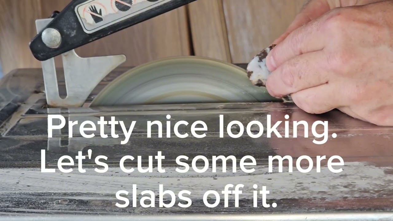 I knew I had to cut this one open as soon as I found it.