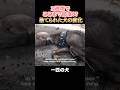 3週間でここまで回復!? 捨てられた犬の変化