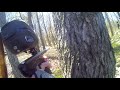 Planet Eclipse Geo 4 at Lone Wolf Paintball Metamora
