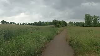 34 Taucha In der Parthenaue Höhe Seegeritzer Pappeln Blick auf Partheaue & Parthe & Hasengrabe