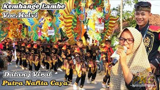 KEMBANGE LAMBE Voc.KELVI ❗️ Dalang Viral - PUTRA NAFITA CAYA (PNC) || Singa Depok