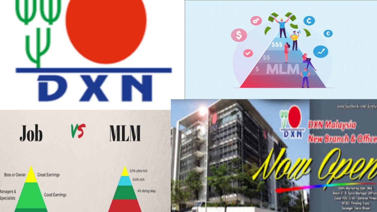 What Is an MLM? How Multilevel Marketing Works Dxn MLM business