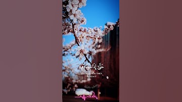 الإيمان المتجددتلاوة خاشعة ومؤثرة تنبض بالقلب وترقى بالروح #القرآن_الكريم #اللهم #لا_إله_إلا_الله #ق