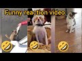 Funnylaughtrips  bad day moments reaction funnys