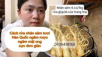 Hướng dẫn rửa nhân sâm tươi Hàn Quốc ngâm rượu ngâm mật ong đảm bảo chất lượng| Hươu sao Tín Tài