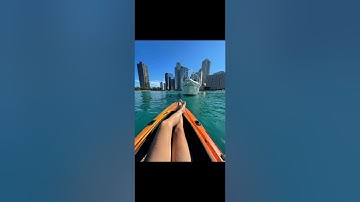 Trust wallet / Coinbase Wallet mining pool scam Victim | Ethereum Mining Pool |Usdt Eth Mining scams