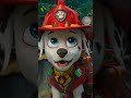 kids fire school #dreamscreenai #love #motivation