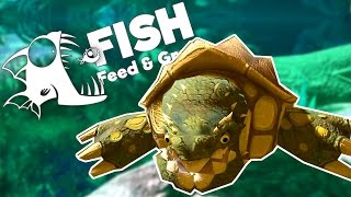 Giant Swamp Lurker Snapping Turtle! - Huge Swamp Update - Feed and Grow: Fish Gameplay