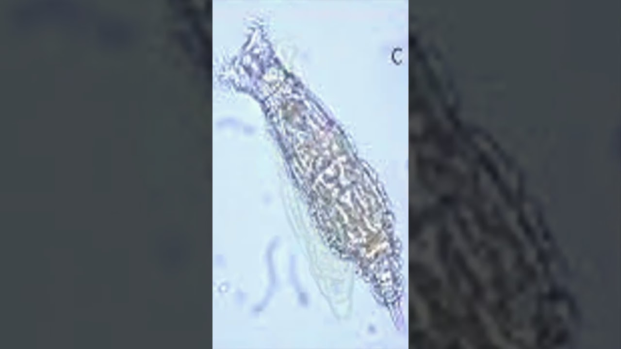 Scientists Accidentally Made A Haunting Discovery After This Glacier Melted 