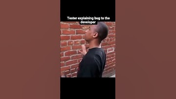 Tester explaining bug to the developer #memes #programmer #devlife
