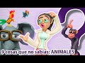 9 Preguntas curiosas sobre animales ¡No te imaginas las respuestas! - CuriosaMente 239