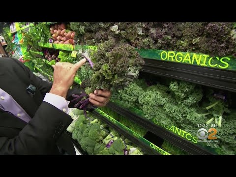 Difference Between Purple And Green Kale