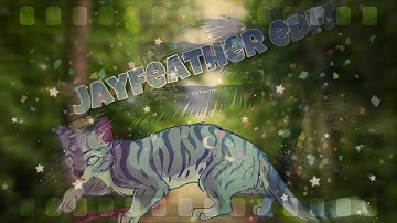 Jayfeather edit - A sky full of stars