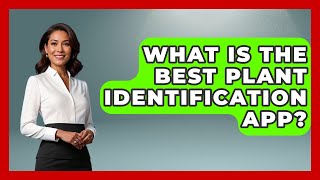 What Is The Best Plant Identification App - Emerging Tech Insider