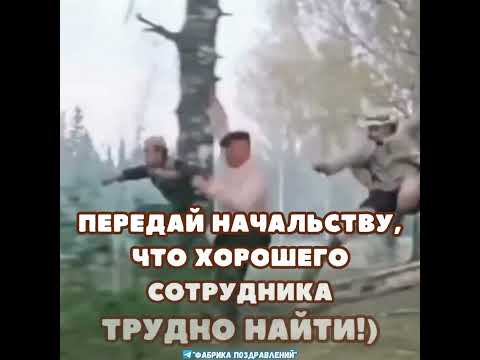Тебя начальство уже час ищет, ты где? #сарказм #женскийюмор #юмор #смех #прикол