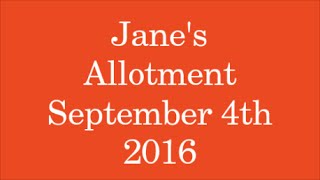 Jane's Allotment September 4th 2016