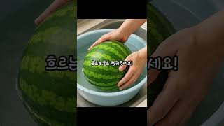 #수박 #여름 #여름꿀팁 #꿀팁 #식초 #주방꿀팁 #주부 #주부꿀팁 #과일 #세척 #생활정보 #건강정보 #살림 #살림정보 #살림꿀팁 #식중독