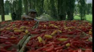 Bbva Banco Continental - Cuenta Ganadora