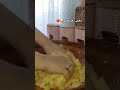 رفيس لقسنطيني 