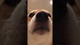 typical Seal Winnie activities🙂‍↕️