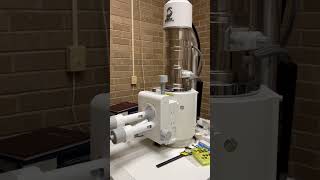 Scanning electron microscope fossils