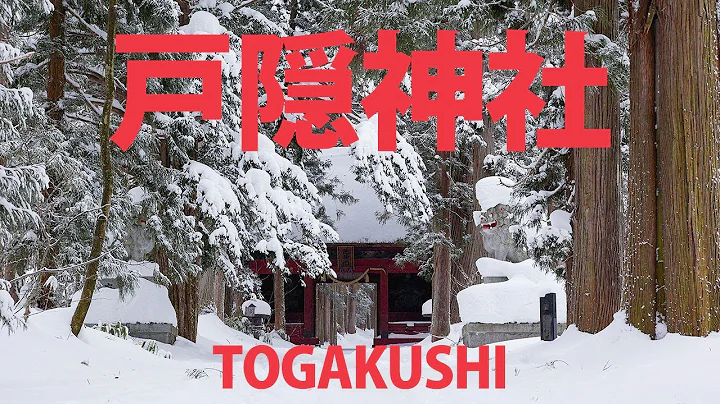 Exploring Mount Togakushi  (Zuishinmon Gate) - Nag...