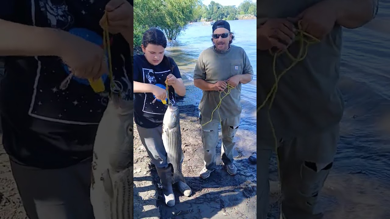 30″” baby personal best.stripped bass #bassfishing #fishing #fish ##onthewayjourneys