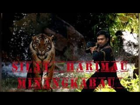 Batajau || Tradisi Pencak Silat Minangkabau