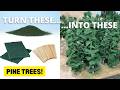 Create Realistic Model Railroad Trees With Inexpensive Materials thumbnail