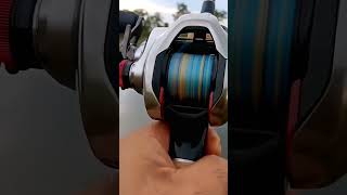 Shimano Scorpion DC sound #shimano #baitcasting #fishing #mancing #shorts #shortvideo