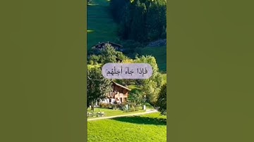 ولو يؤاخذ الله الناس بظلمهم ( سورة النحل :٦١ )