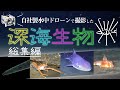 FullDepth 深海生物総集編