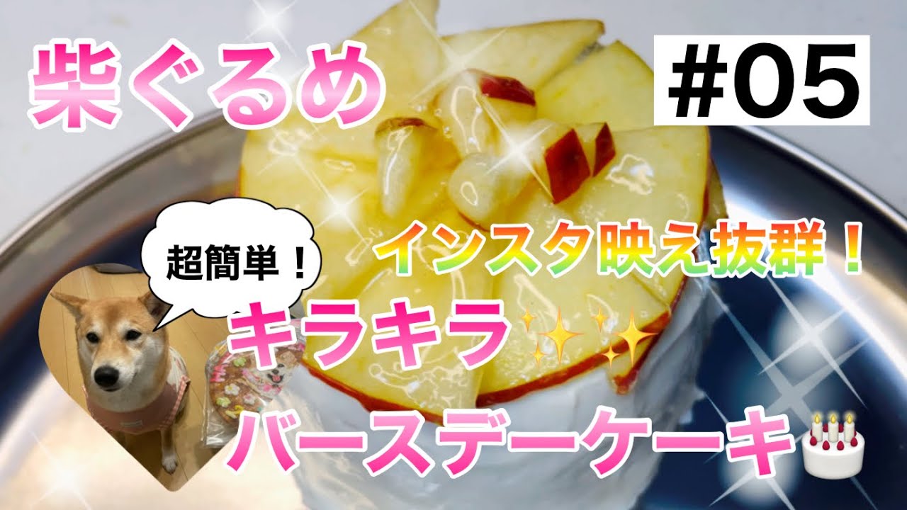 柴犬 柴ぐるめ 超簡単 犬用キラキラバースデーケーキの作り方 インスタ映え抜群 Youtube 柴犬 柴ぐるめ 超簡単 犬用キラキラバースデーケーキの作り方 インスタ映え抜群 Youtube