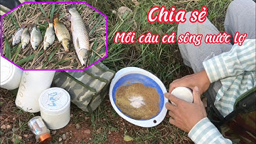 MỒI CÂU CÁ SÔNG NƯỚC LỢ HƯNG HUGO