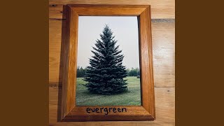Evergreen - maxwellington