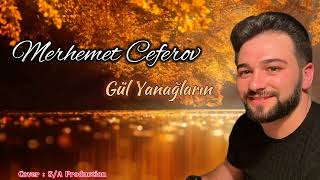 Merhemet. Ceferov. Officciall