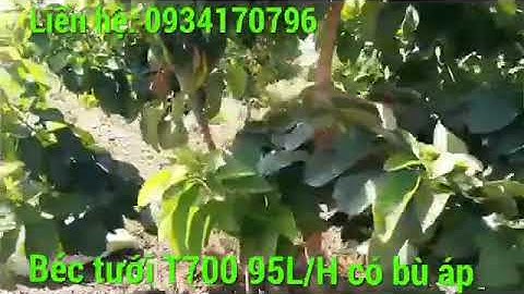 Hệ Thống Tưới Béc T700 Có Bù Áp Cho Địa Hình Đồi Dốc- Béc Tưới Tiết Kiệm Nước